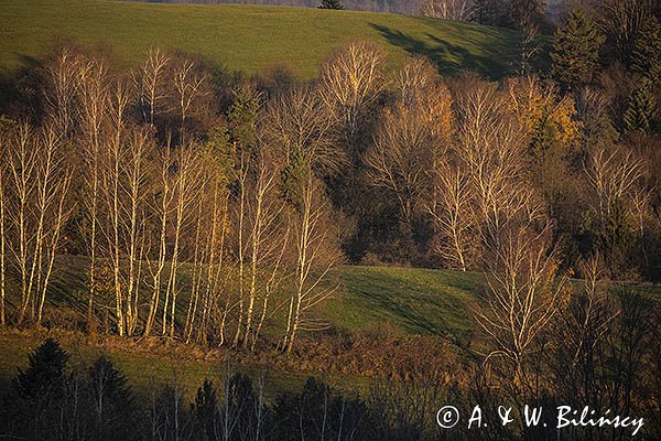 Widok z Polany, Bieszczady