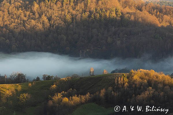 Widok z Polany, Bieszczady