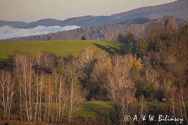 Jesień, Bieszczady