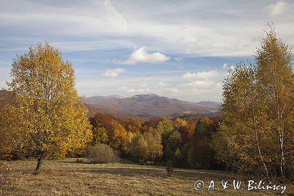 Jesień spod Rawek, widok na Tarnicę, Bieszczady