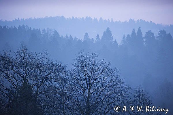 Lasy, widok z Harwatów, Góry Sanocko-Turczańskie