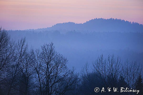 Lasy, widok z Harwatów, Góry Sanocko-Turczańskie