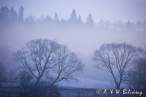 Lasy, widok z Harwatów, Góry Sanocko-Turczańskie