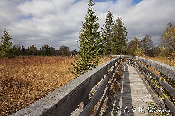 Torfowisko Tarnawa, Bieszczady, Bieszczadzki Park Narodowy