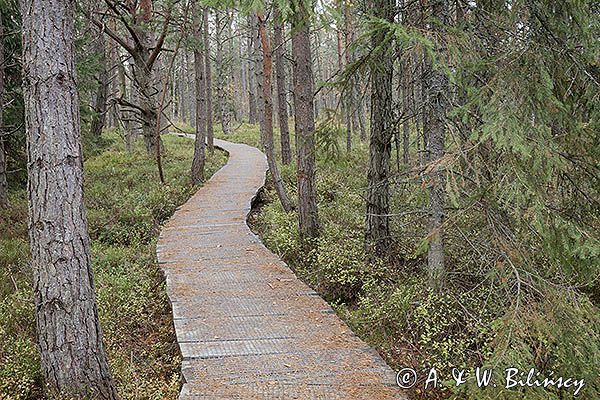 Torfowisko Tarnawa, Bieszczady, Bieszczadzki Park Narodowy