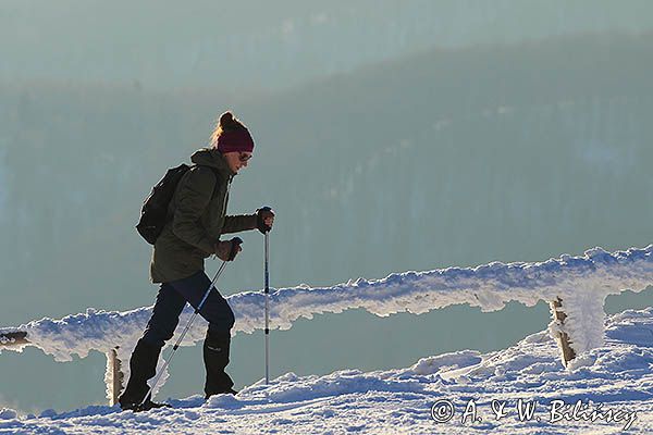 Turystka, Zima na Połoninie Wetlińskiej, Bieszczady