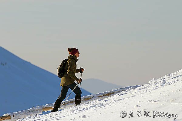 Turystka, Zima na Połoninie Wetlińskiej, Bieszczady