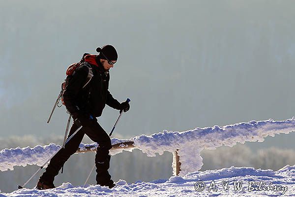 Turysta, Zima na Połoninie Wetlińskiej, Bieszczady