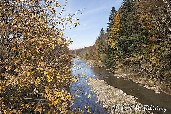 Potok Wołosaty, Bieszczady