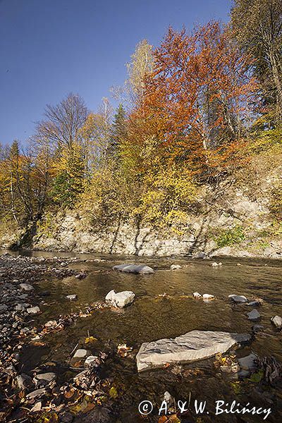 Potok Wołosaty, Bieszczady