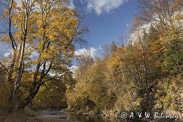 Potok Wołosaty, Bieszczady