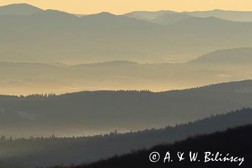 Poranne mgły widok z Bukowego Berda, Bieszczady