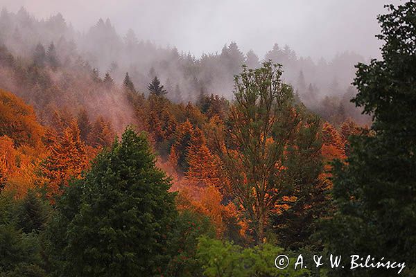 O zachodzie słońca, Bieszczady