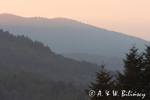 Bieszczady o zachodzie słońca widok z Jaworników