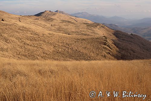 Bieszczady na Połoninie Wetlińskiej