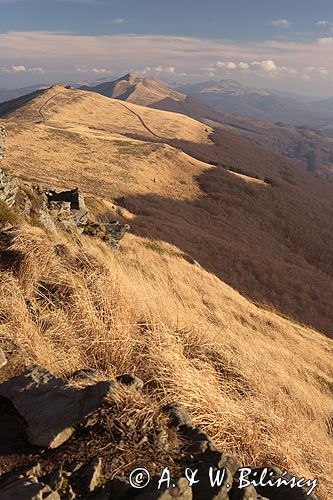 Bieszczady na Połoninie Wetlińskiej