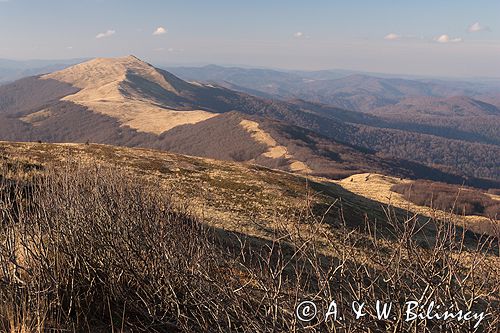 Bieszczady na Połoninie Wetlińskiej