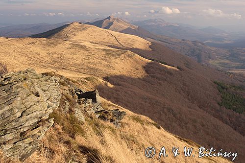 Bieszczady na Połoninie Wetlińskiej