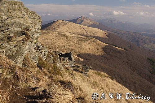 Bieszczady na Połoninie Wetlińskiej