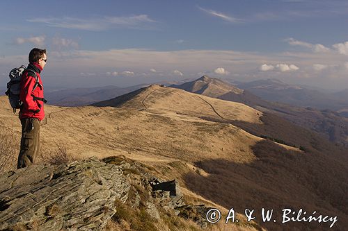 Bieszczady na Połoninie Wetlińskiej