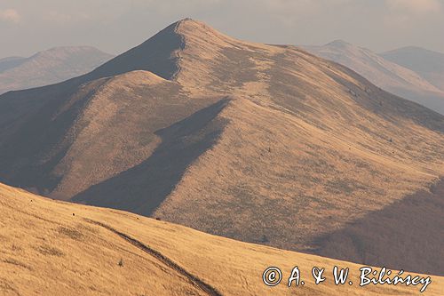 Bieszczady na Połoninie Wetlińskiej