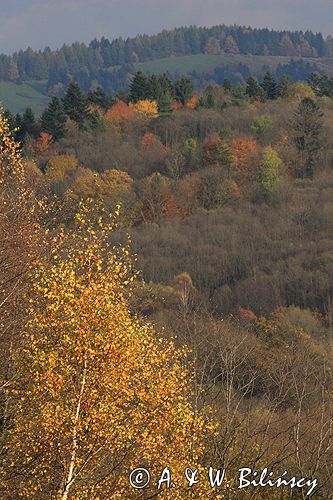 Bieszczady jesień Sokołowa Wola