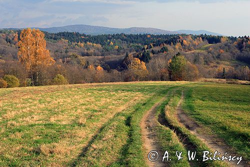 Bieszczady jesień Sokołowa Wola