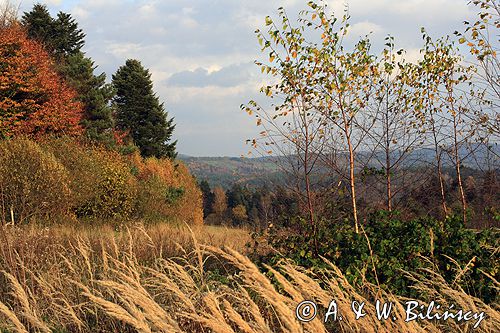 Bieszczady jesień Sokołowa Wola