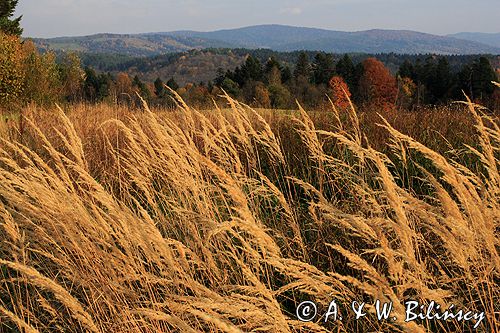 Bieszczady jesień Sokołowa Wola