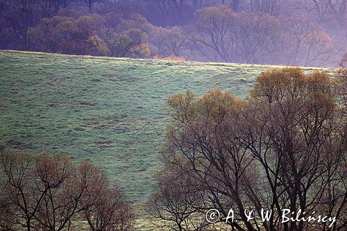 Bieszczady jesień Sokołowa Wola