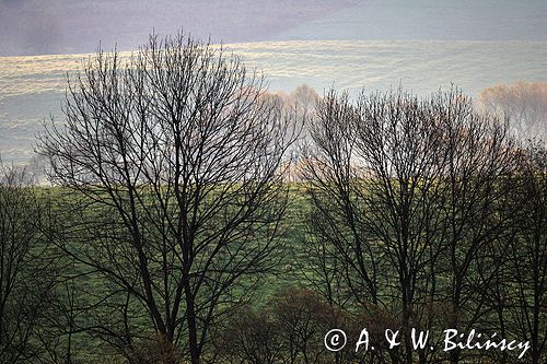 Bieszczady jesień Sokołowa Wola