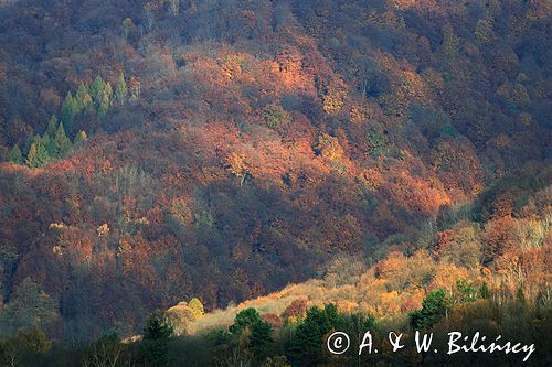 Bieszczady jesień Sokołowa Wola