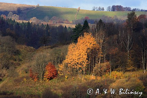 Bieszczady jesień Sokołowa Wola