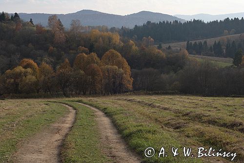 Bieszczady jesień Sokołowa Wola