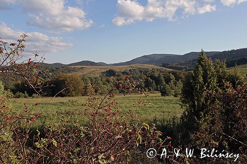 Bieszczady widok z Suliły na Gawgań