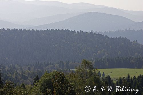 Bieszczady, panorama gór, widok znad Lutowisk