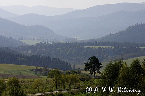 Bieszczady, panorama gór, widok znad Lutowisk