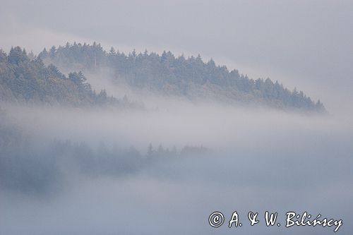 mgły nad żukowem, dolina żłobka, Bieszczady