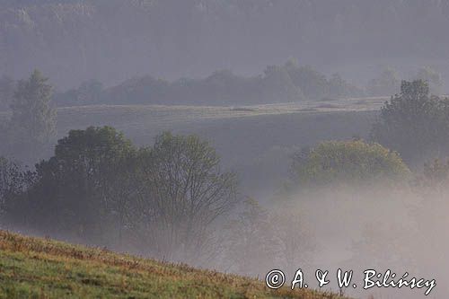 mgły o świcie na Sokołowej Woli, Bieszczady