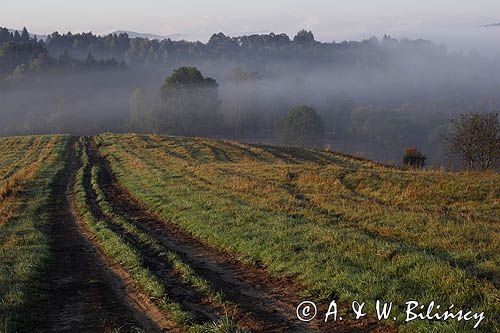 mgły o świcie na Sokołowej Woli, Bieszczady