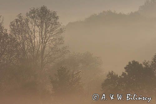 mgły o świcie na Sokołowej Woli, Bieszczady