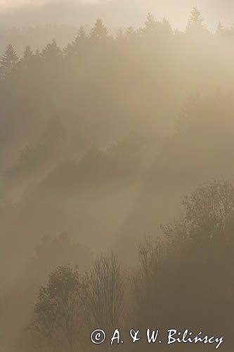 mgły o świcie na Sokołowej Woli, Bieszczady