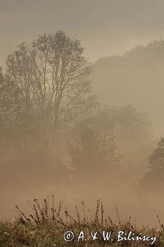 mgły o świcie na Sokołowej Woli, Bieszczady