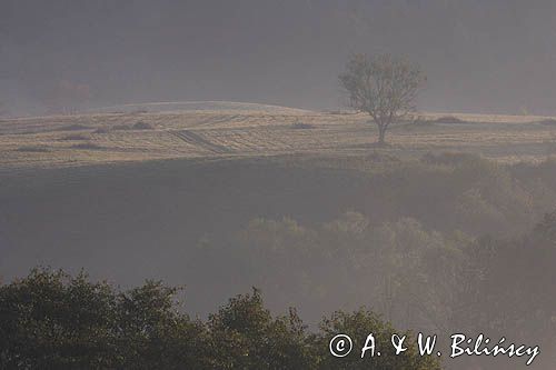 mgły o świcie na Sokołowej Woli, Bieszczady