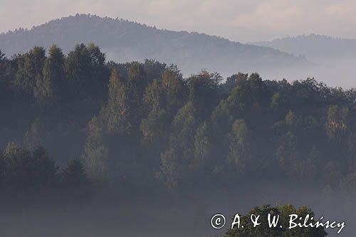 mgły o świcie na Sokołowej Woli, Bieszczady