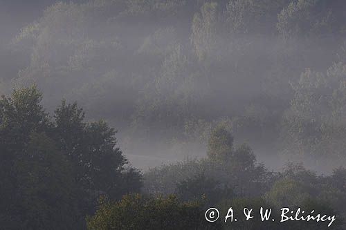 mgły o świcie na Sokołowej Woli, Bieszczady