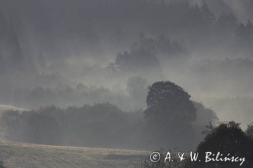 mgły o świcie na Sokołowej Woli, Bieszczady