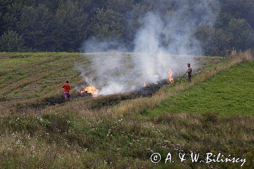 jesienne porządki, wypalanie chwastów, okolice Tarnawy Górnej, Bieszczady