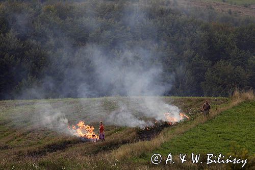 jesienne porządki, wypalanie chwastów, okolice Tarnawy Górnej, Bieszczady