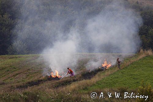 jesienne porządki, wypalanie chwastów, okolice Tarnawy Górnej, Bieszczady